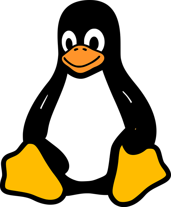 linux_penguin.png